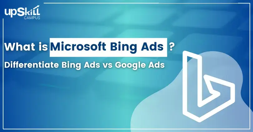 What is Microsoft Bing Ads - D