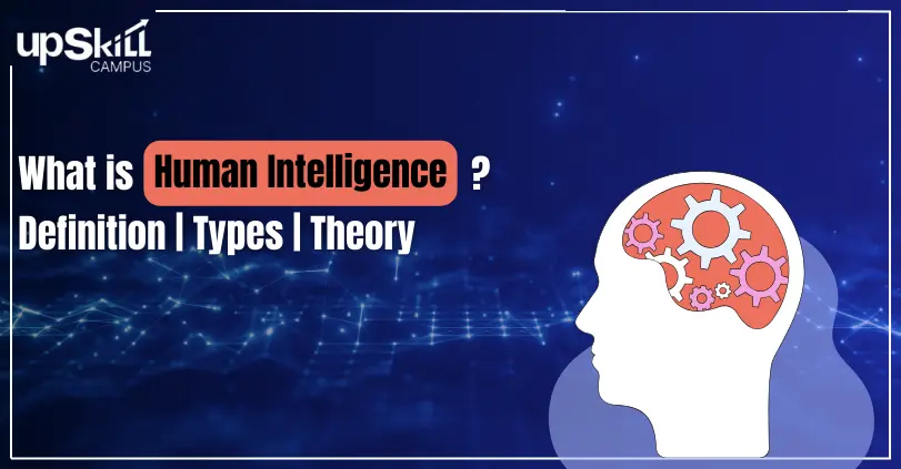 What is Human Intelligence - D