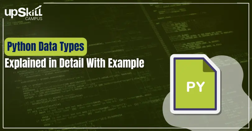 Python Data Types Explained in