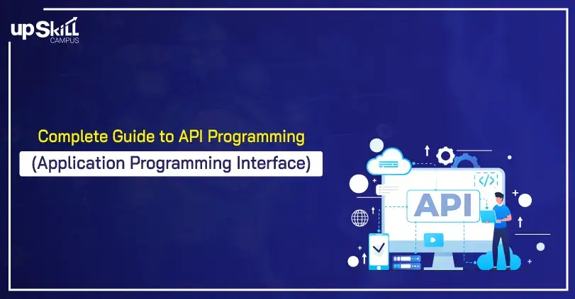 Complete Guide to API Programm