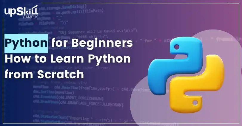 Python for Beginners: How to L