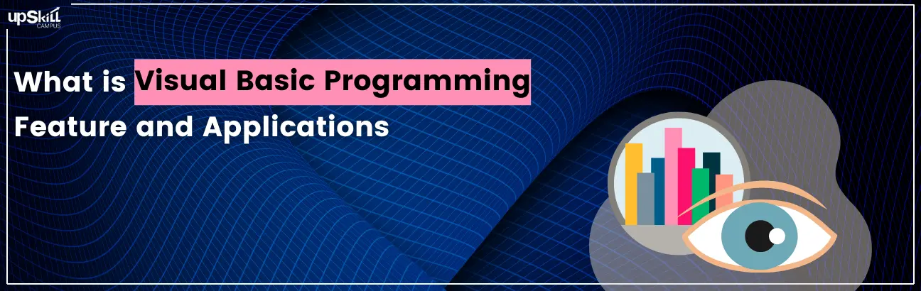 What is Visual Basic Programming - Feature and Applications