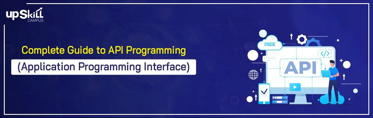 Complete Guide to API Programming (Application Programming Interface)