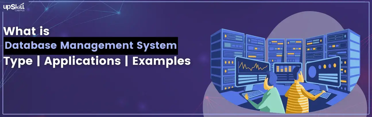 What is a Database Management System: Type | Applications | Examples