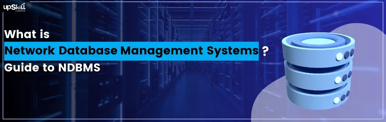 What is Network Database Management Systems: Guide to NDBMS